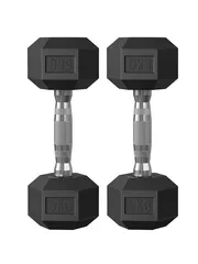 SONGMICS Juego de 2 Mancuernas Hexagonales, para Entrenamiento, Fortalecimiento, Levantamiento de Pesas en Casa, Gimnasio