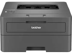 Brother EcoPro HL-L2400DWE Impresora Láser Monocromo WiFi Dúplex