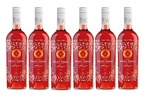 6 botellas de Vino rosado Santa Digna Rosé 750cl