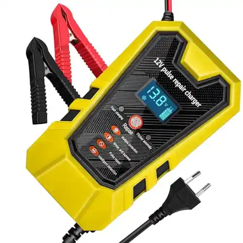 Cargador Batería coche 6A 12V