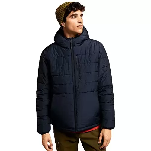 Chaqueta acolchada Springfield