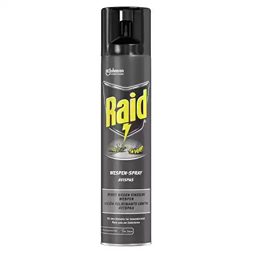 Spray Insecticida para Avispas y Avispones Raid