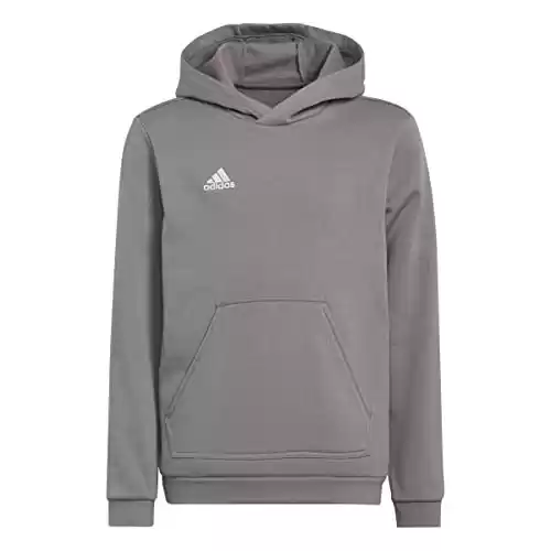 Sudadera Adidas ENT22 Hoody Y