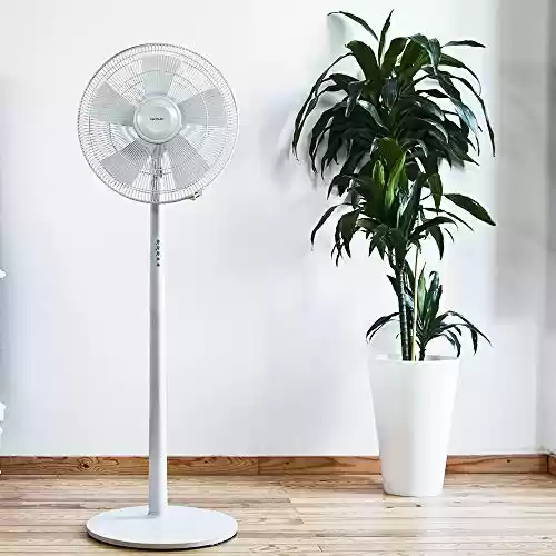 Ventilador de Pie con Mando a Distancia y Temporizador Cecotec